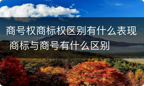 商号权商标权区别有什么表现 商标与商号有什么区别