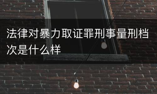 法律对暴力取证罪刑事量刑档次是什么样