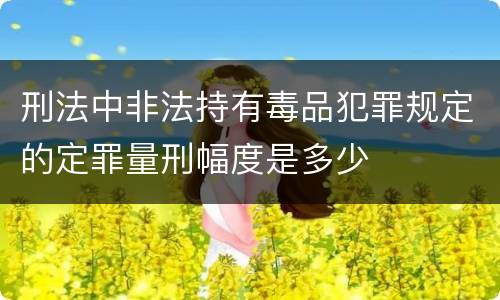 刑法中非法持有毒品犯罪规定的定罪量刑幅度是多少