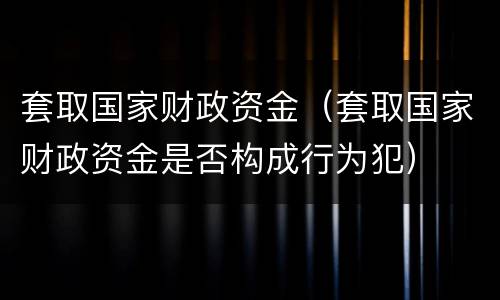 套取国家财政资金（套取国家财政资金是否构成行为犯）