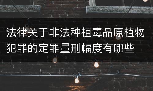 法律关于非法种植毒品原植物犯罪的定罪量刑幅度有哪些
