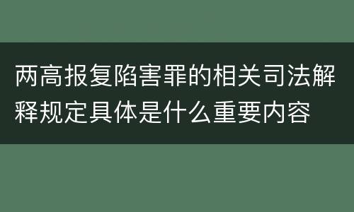 两高报复陷害罪的相关司法解释规定具体是什么重要内容