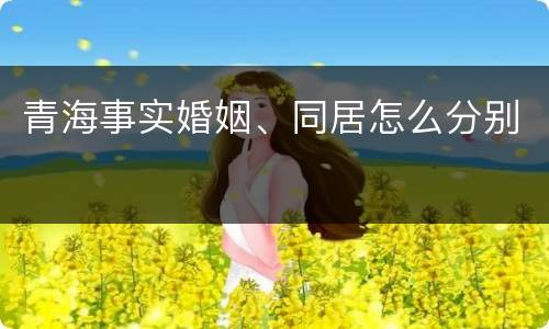 青海事实婚姻、同居怎么分别
