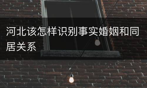 河北该怎样识别事实婚姻和同居关系