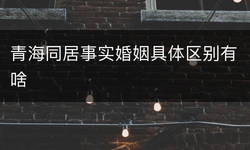 青海同居事实婚姻具体区别有啥