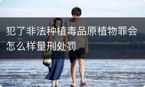 犯了非法种植毒品原植物罪会怎么样量刑处罚