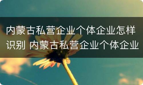 内蒙古私营企业个体企业怎样识别 内蒙古私营企业个体企业怎样识别企业名称