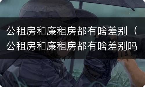公租房和廉租房都有啥差别（公租房和廉租房都有啥差别吗）