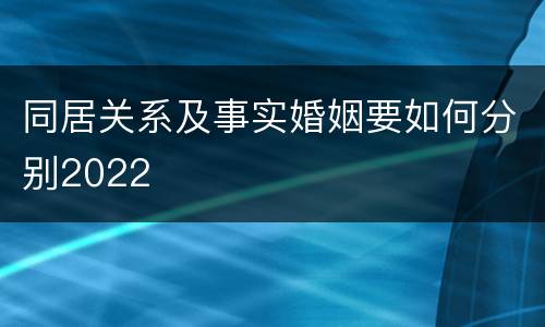 同居关系及事实婚姻要如何分别2022
