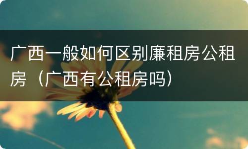 广西一般如何区别廉租房公租房（广西有公租房吗）