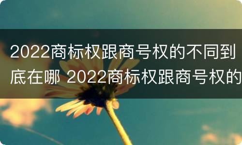 2022商标权跟商号权的不同到底在哪 2022商标权跟商号权的不同到底在哪一项