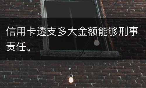 信用卡透支多大金额能够刑事责任。