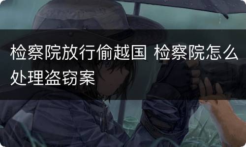 检察院放行偷越国 检察院怎么处理盗窃案