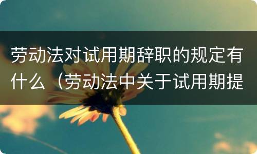 劳动法对试用期辞职的规定有什么（劳动法中关于试用期提出辞职的规定）