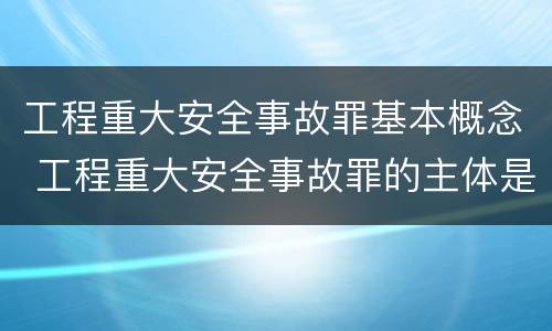 工程重大安全事故罪基本概念 工程重大安全事故罪的主体是什么