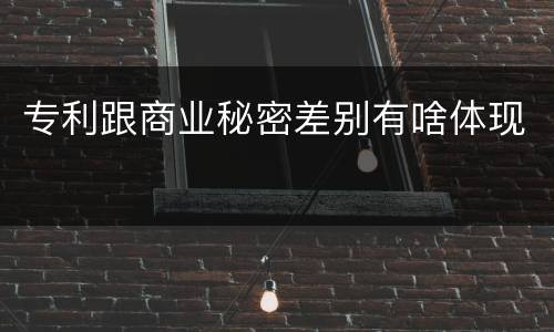 专利跟商业秘密差别有啥体现