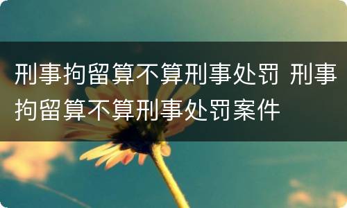刑事拘留算不算刑事处罚 刑事拘留算不算刑事处罚案件