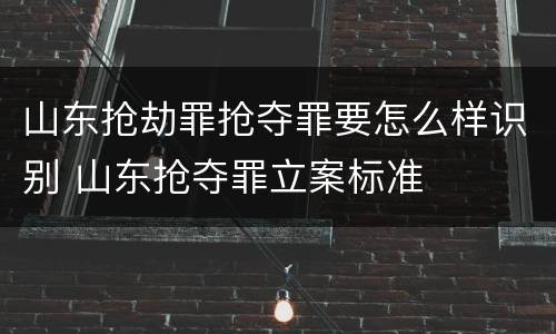 山东抢劫罪抢夺罪要怎么样识别 山东抢夺罪立案标准