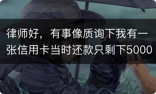 律师好，有事像质询下我有一张信用卡当时还款只剩下5000现在升到20000怎么办