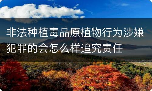非法种植毒品原植物行为涉嫌犯罪的会怎么样追究责任