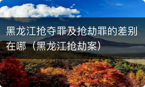 黑龙江抢夺罪及抢劫罪的差别在哪（黑龙江抢劫案）