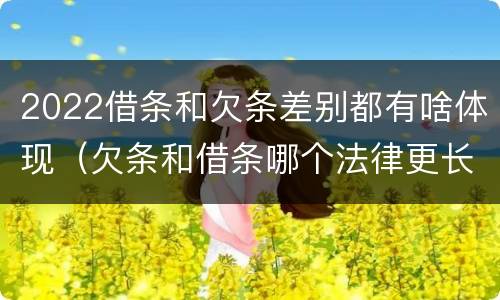 2022借条和欠条差别都有啥体现（欠条和借条哪个法律更长）