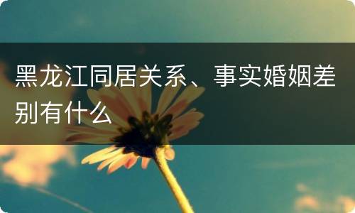 黑龙江同居关系、事实婚姻差别有什么