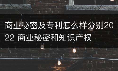 商业秘密及专利怎么样分别2022 商业秘密和知识产权