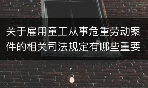 关于雇用童工从事危重劳动案件的相关司法规定有哪些重要内容
