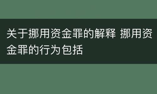 关于挪用资金罪的解释 挪用资金罪的行为包括