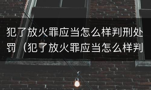 犯了放火罪应当怎么样判刑处罚（犯了放火罪应当怎么样判刑处罚）