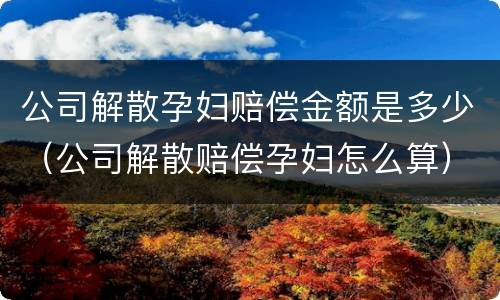 公司解散孕妇赔偿金额是多少（公司解散赔偿孕妇怎么算）