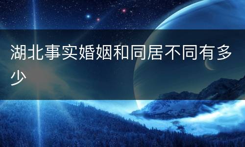 湖北事实婚姻和同居不同有多少