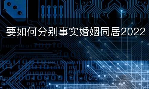 要如何分别事实婚姻同居2022