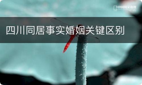 四川同居事实婚姻关键区别