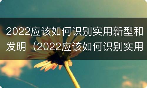 2022应该如何识别实用新型和发明（2022应该如何识别实用新型和发明新材料）
