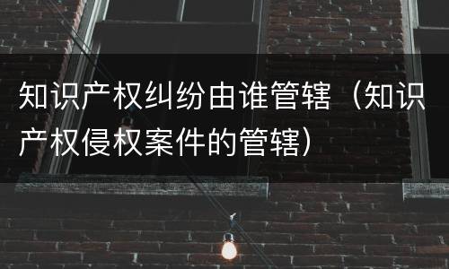 知识产权纠纷由谁管辖（知识产权侵权案件的管辖）