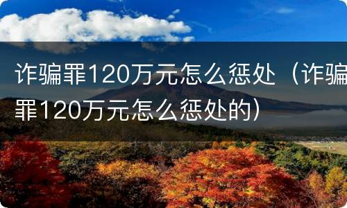 诈骗罪120万元怎么惩处（诈骗罪120万元怎么惩处的）