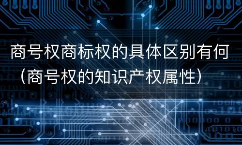 商号权商标权的具体区别有何（商号权的知识产权属性）