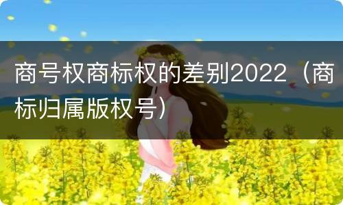 商号权商标权的差别2022（商标归属版权号）
