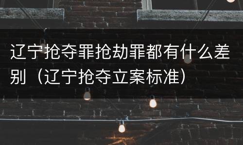 辽宁抢夺罪抢劫罪都有什么差别（辽宁抢夺立案标准）