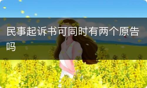 民事起诉书可同时有两个原告吗