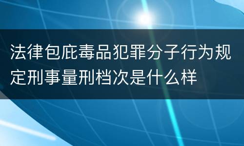 法律包庇毒品犯罪分子行为规定刑事量刑档次是什么样
