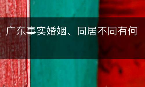 广东事实婚姻、同居不同有何