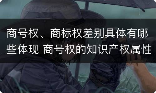 商号权、商标权差别具体有哪些体现 商号权的知识产权属性