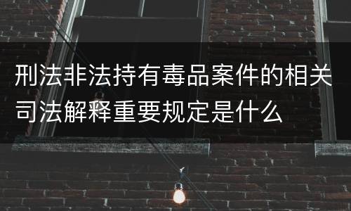 刑法非法持有毒品案件的相关司法解释重要规定是什么