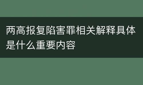 两高报复陷害罪相关解释具体是什么重要内容