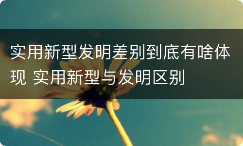 实用新型发明差别到底有啥体现 实用新型与发明区别