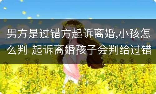 男方是过错方起诉离婚,小孩怎么判 起诉离婚孩子会判给过错方吗?