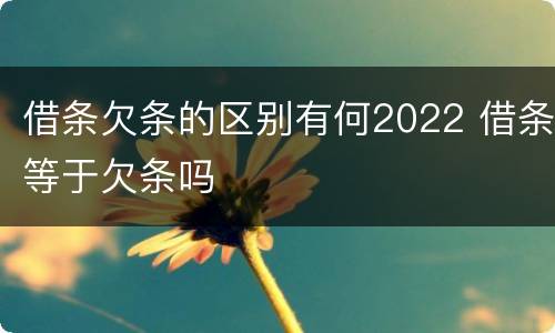 借条欠条的区别有何2022 借条等于欠条吗